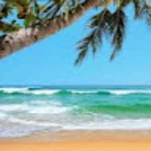 Meet your Posher, Bridget